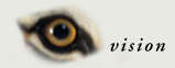 vision