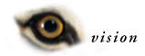vision