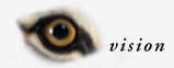 vision
