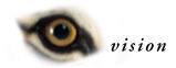 vision